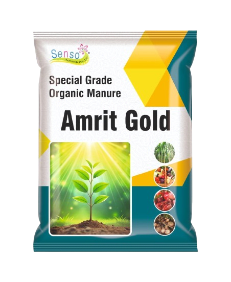 AMRIT GOLD