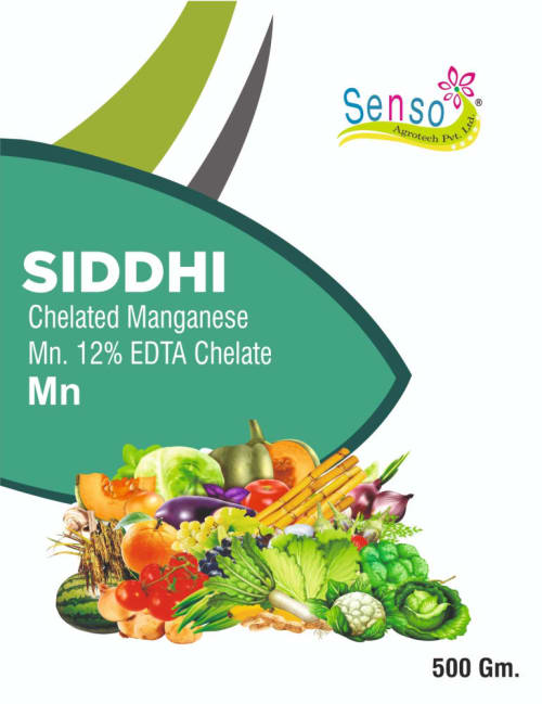 SIDDHI MN