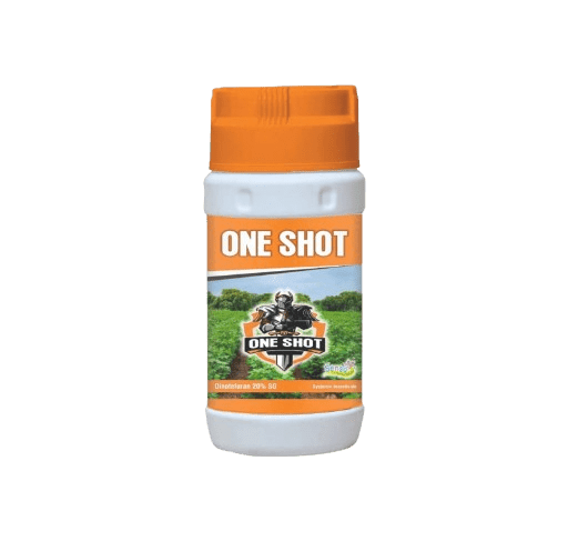 ONE SHOT