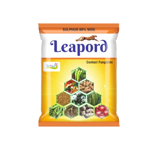 LEAPORD