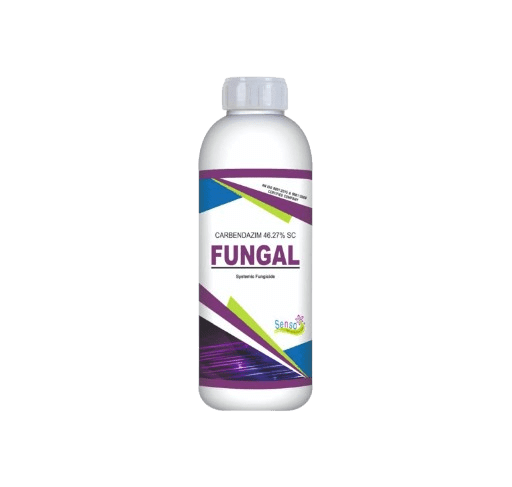 FUNGAL
