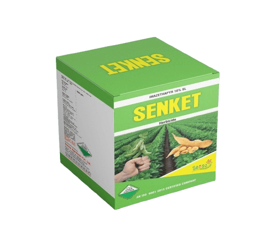 SENKET