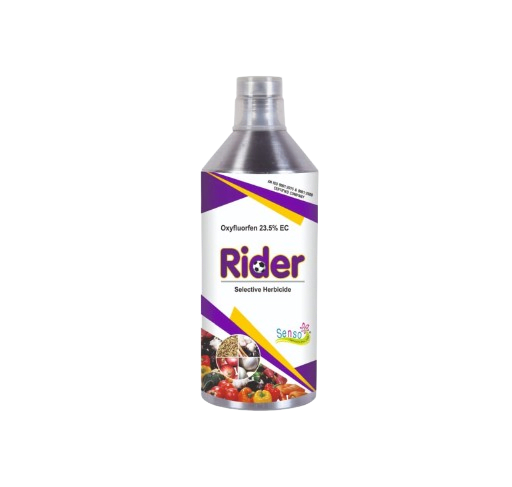RIDER