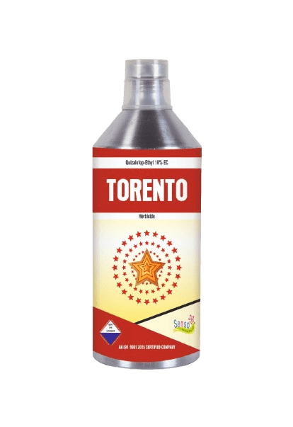 TORENTO