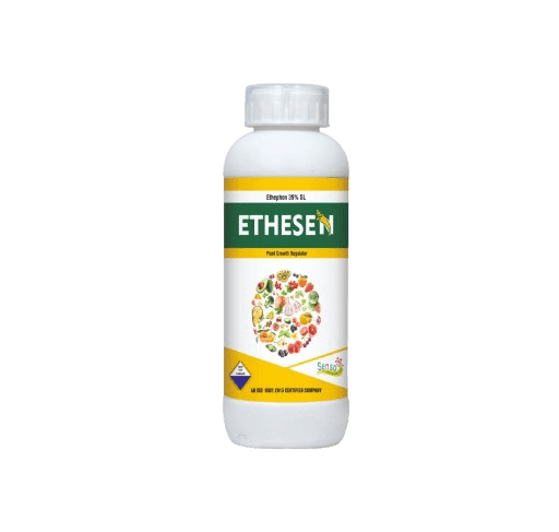 ETHESEN