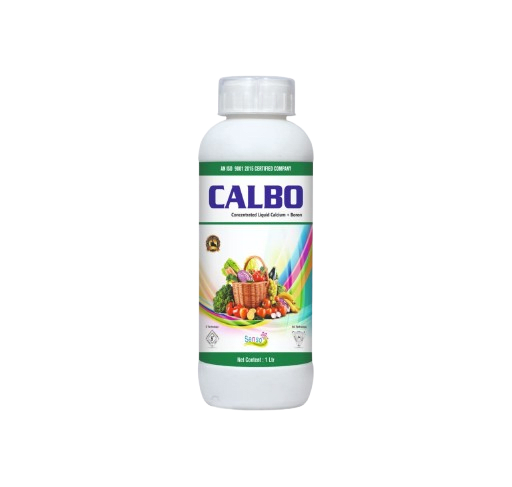 CALBO