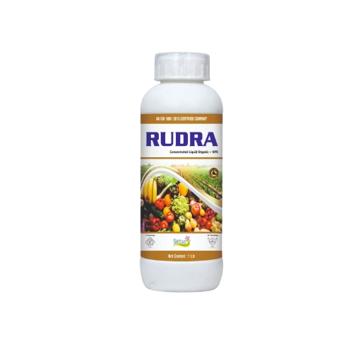 RUDRA
