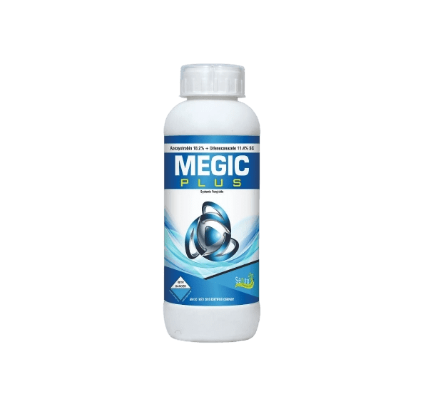 MAGIC PLUS