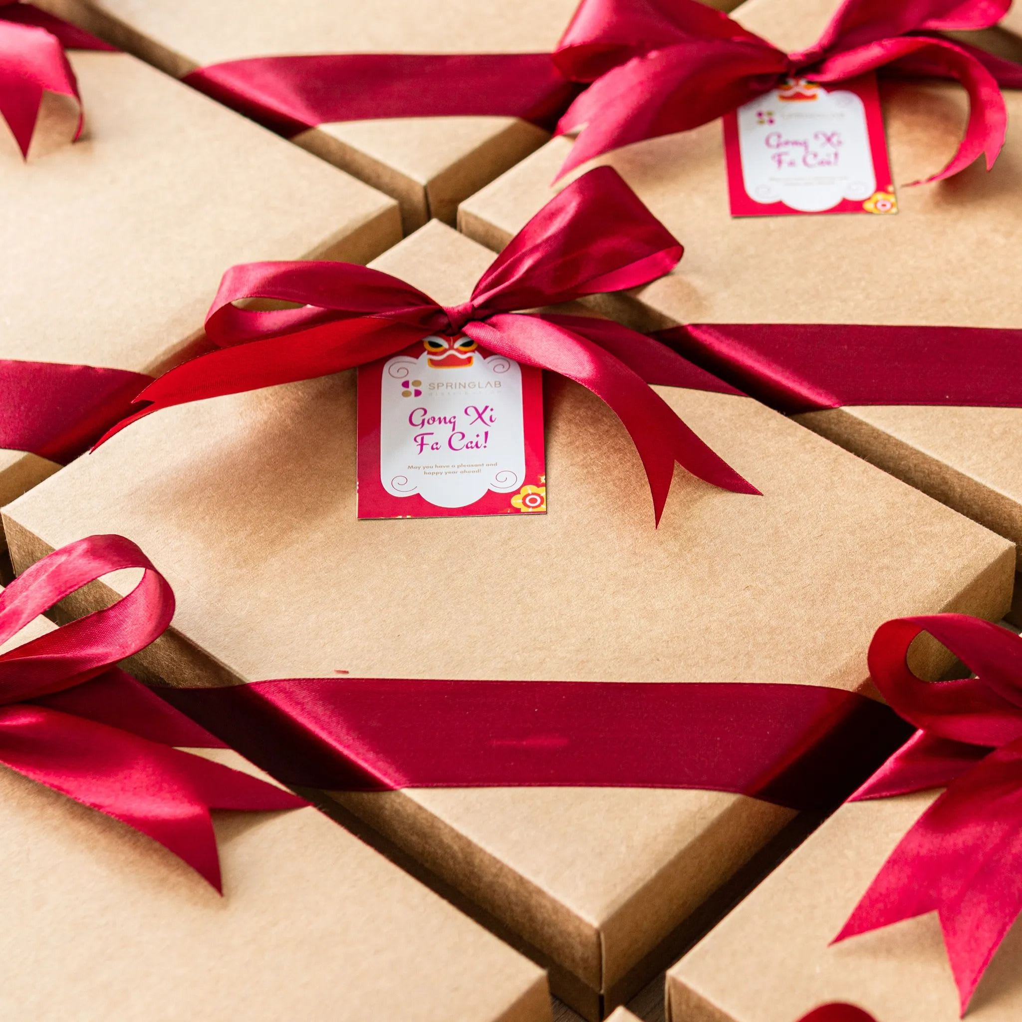 Chinese new year cny gift set - spring lab product photo square-4