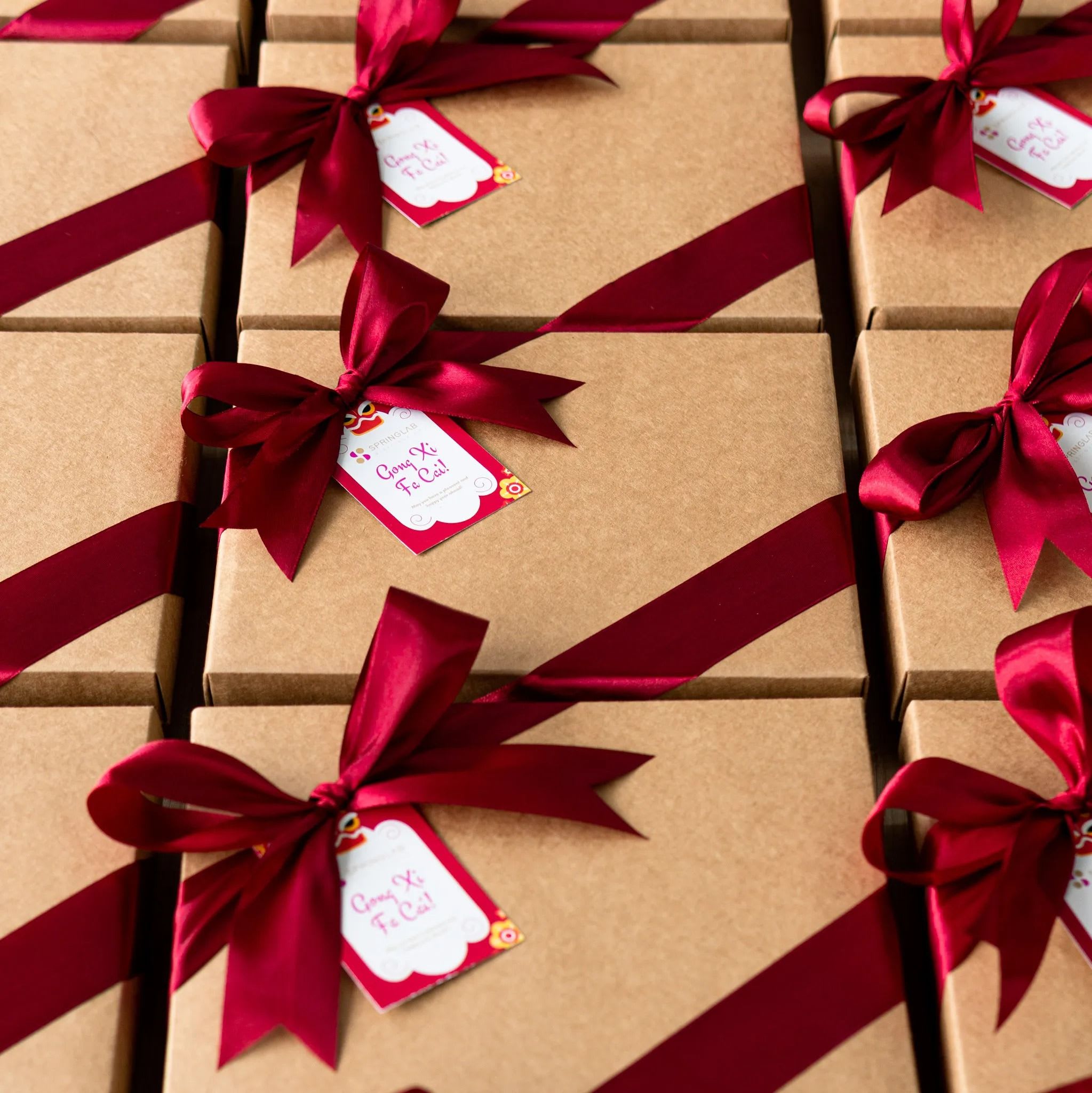 Chinese new year cny gift set - spring lab product photo portrait-3