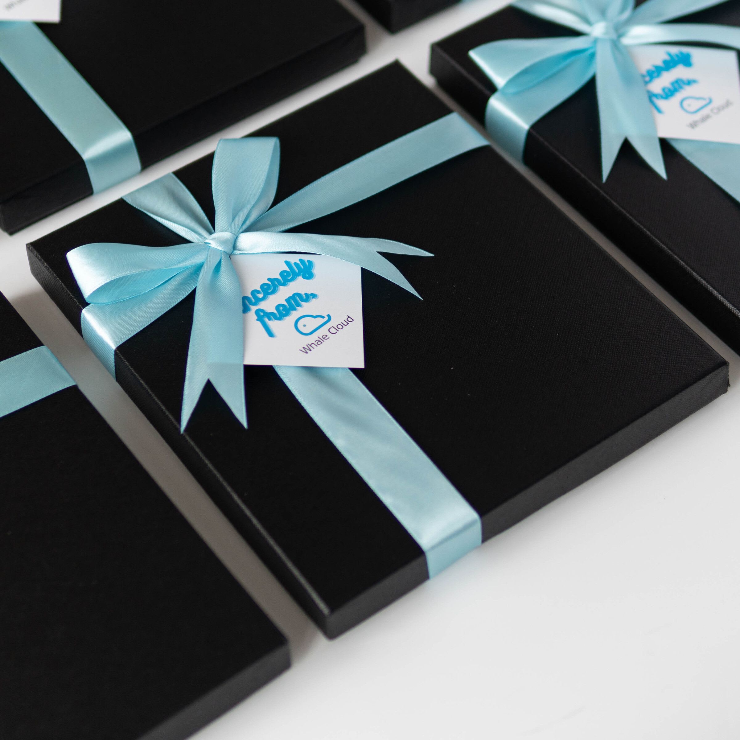 Custom logo notebook and pen- whale cloud product photo square-6