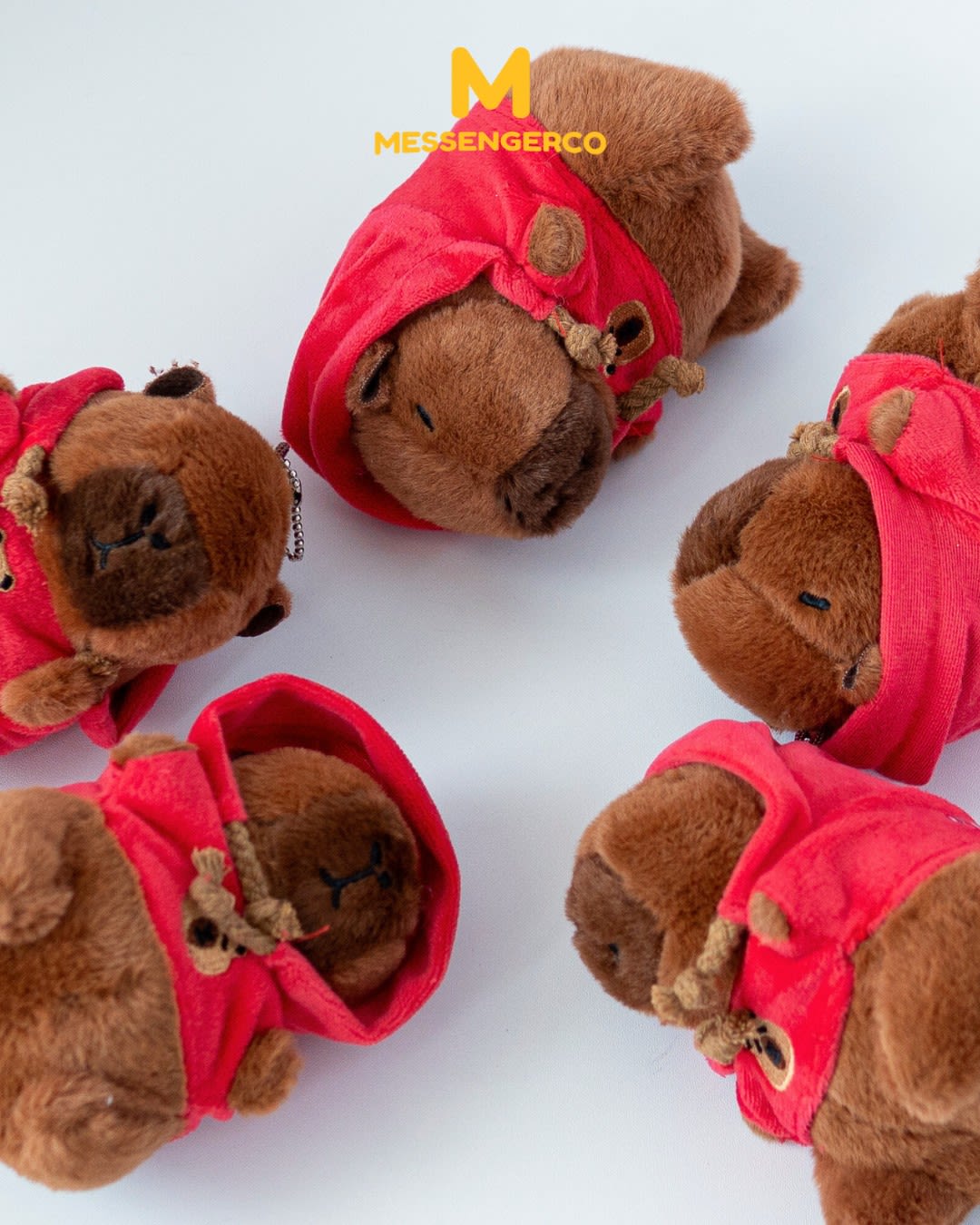 Customised capybara plushy - cuckoo international (mal) sdn. bhd product photo portrait-3