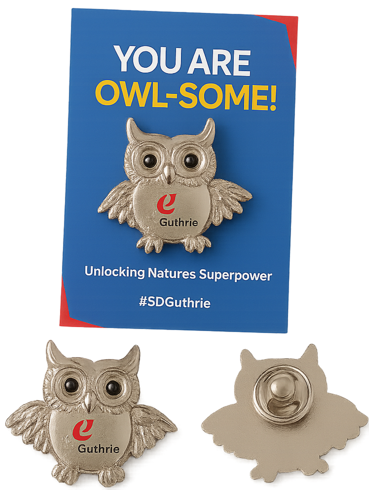 custom enamel pin owl shaped with sd guthrie logo on a greeting card