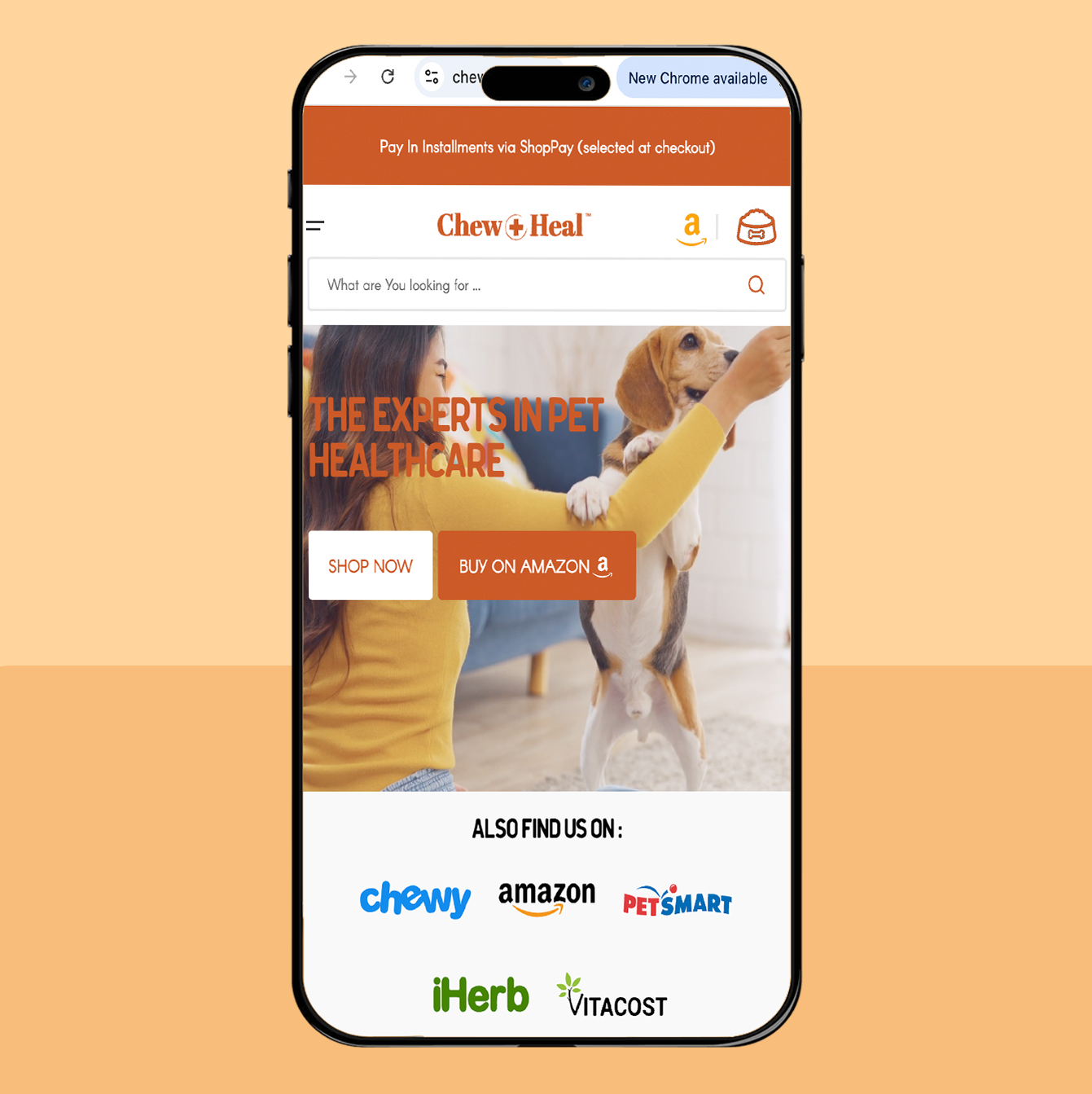 CHEW + HEAL gallery