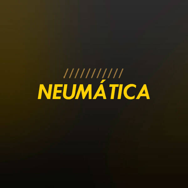 Neumática