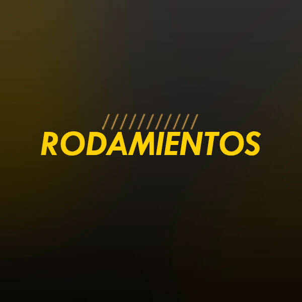 Rodamientos