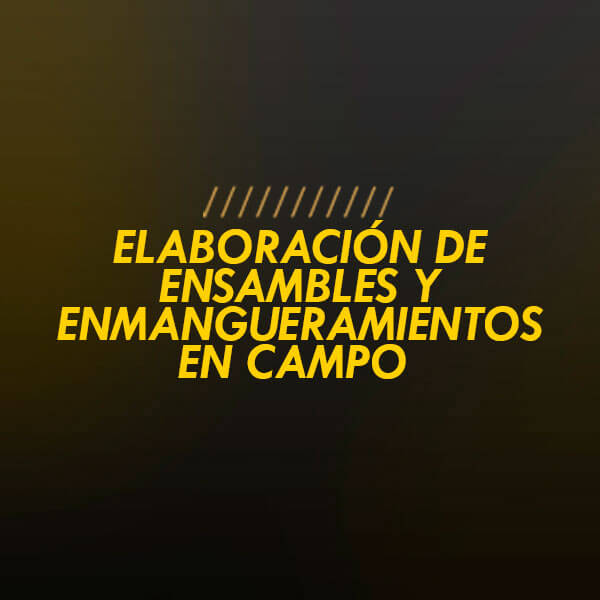 Elaboración de Ensambles