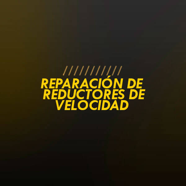 Reparación de Reductores de Velocidad