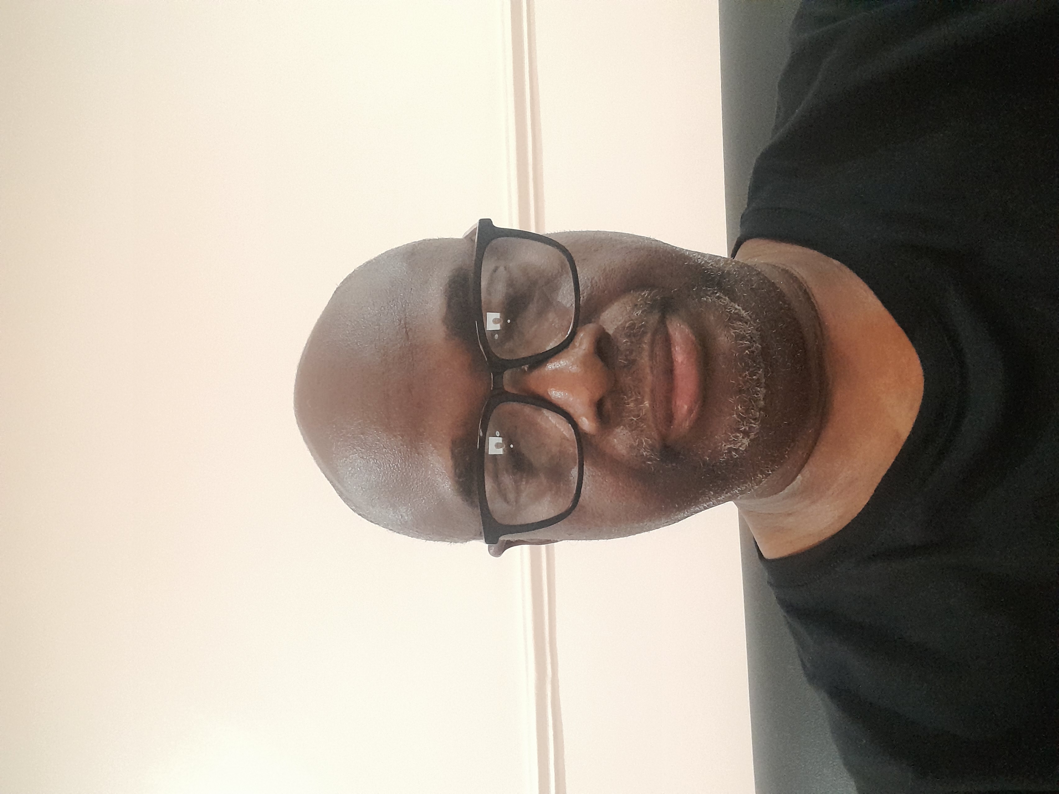 Ayodele Victor Aluko 