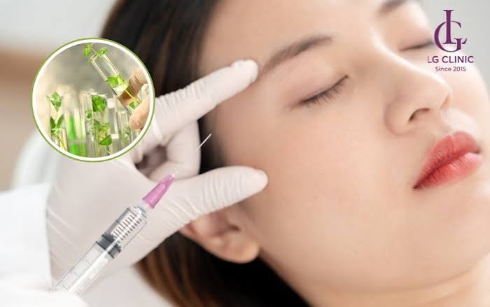 Tắm Trắng Tế Bào Gốc Noãn Thực Vật