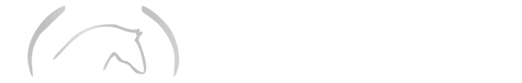 Logo ABRAVEQ