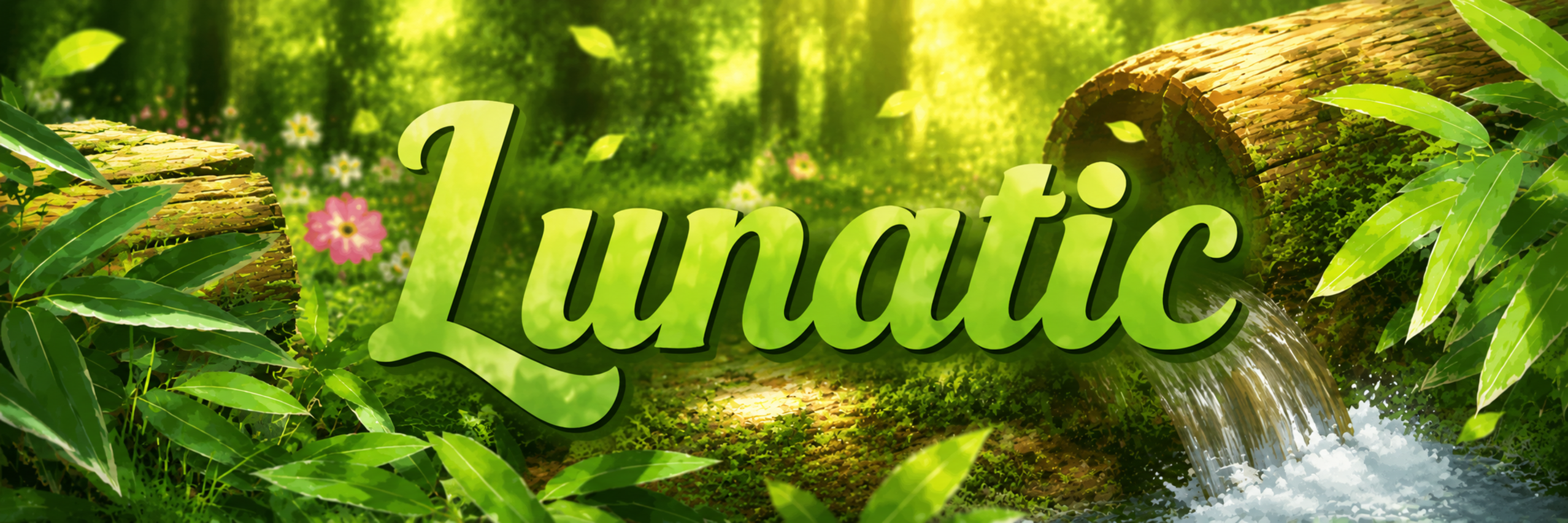 Server banner