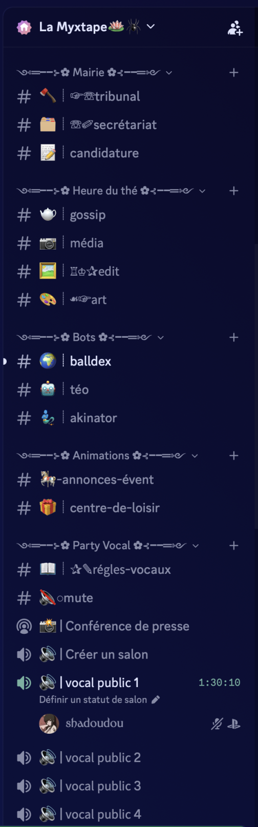 Image du serveur