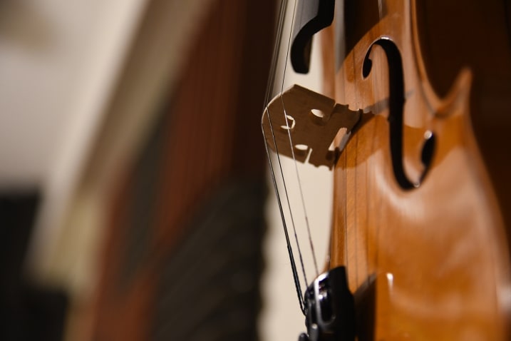 Image Les Instruments de Musique Classique