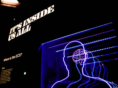 Neuroscience and knowledge of the brain