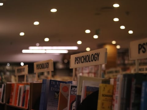 Psychologie : concepts clés du comportement humain