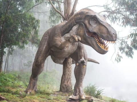 La paléontologie et les dinosaures