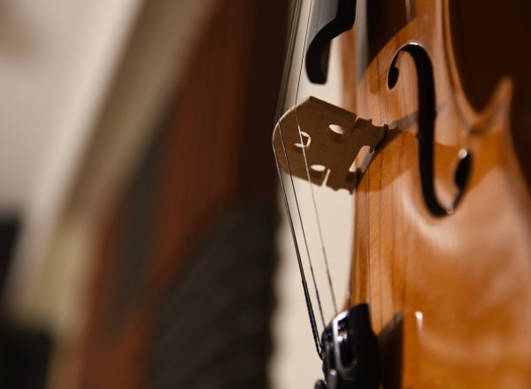 Les Instruments de Musique Classique