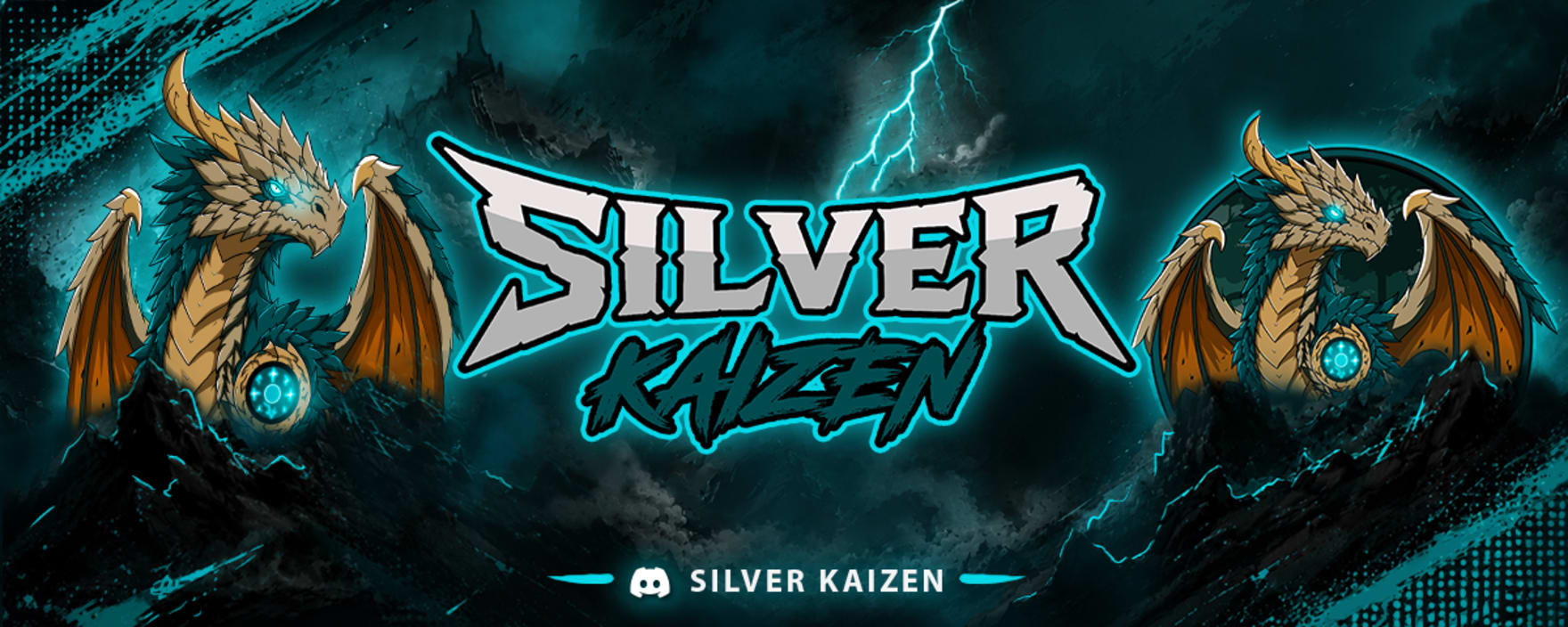 Silver Kaizen's Coding & Gaming Server server banner