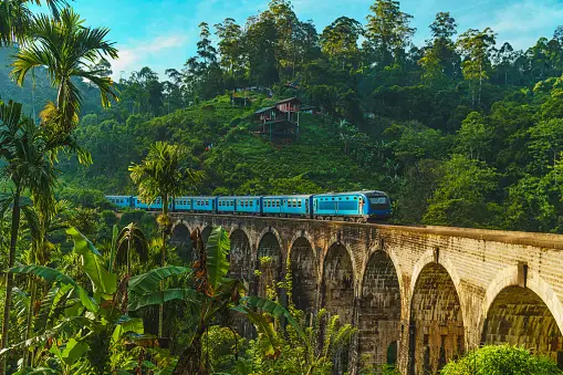 I treni più insoliti al mondo