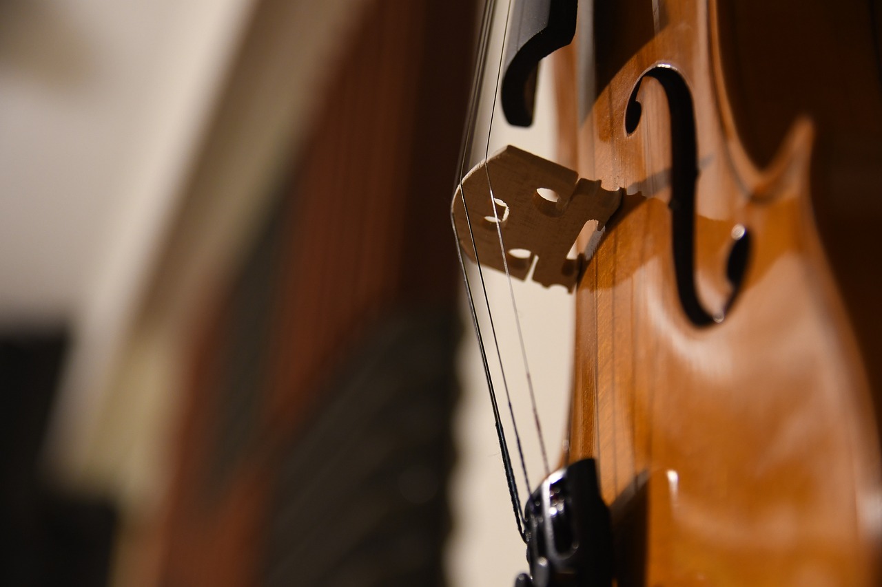 Quiz : Classical Music Instruments - Art and culture