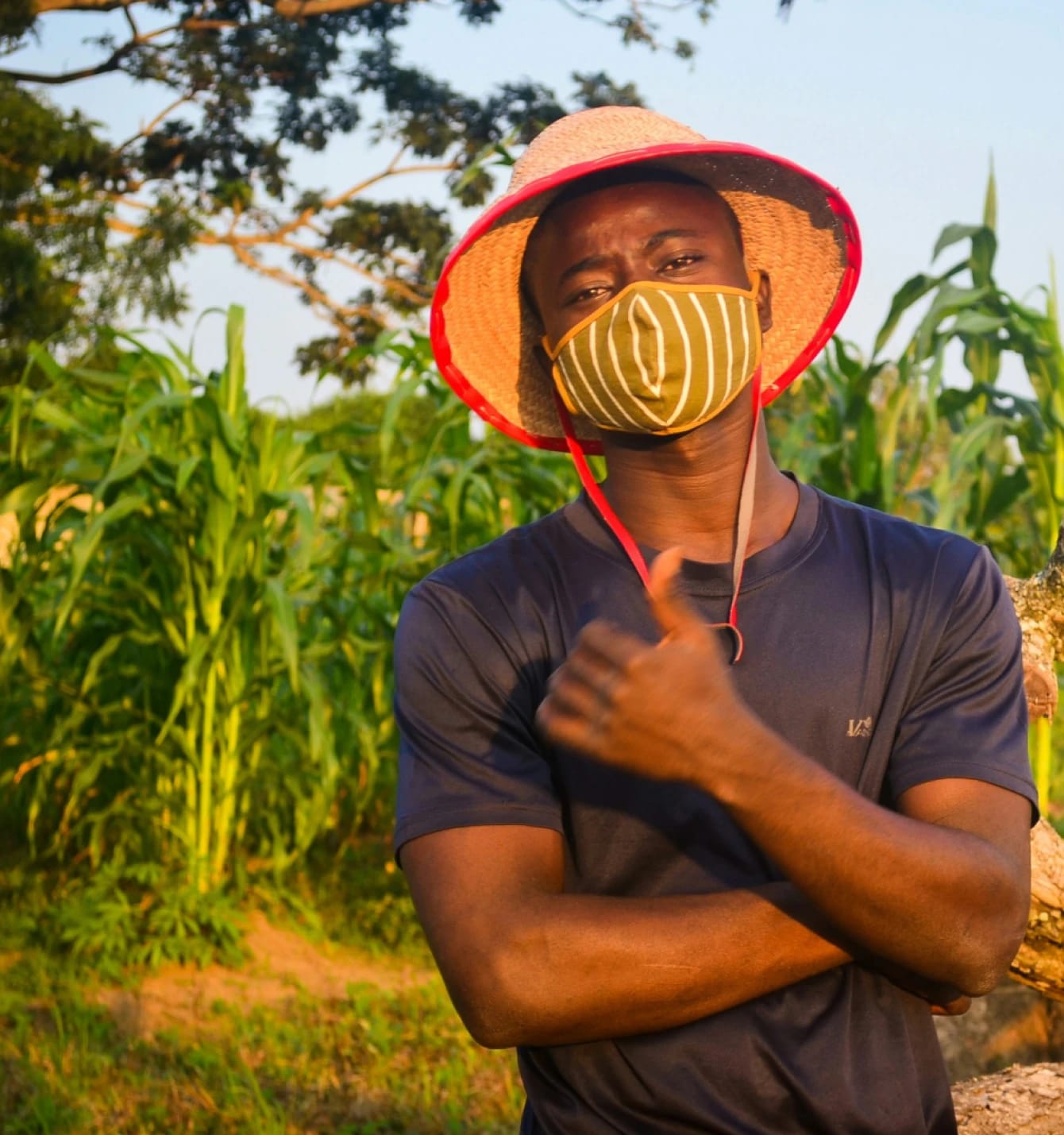 Nigeria Food Security Project