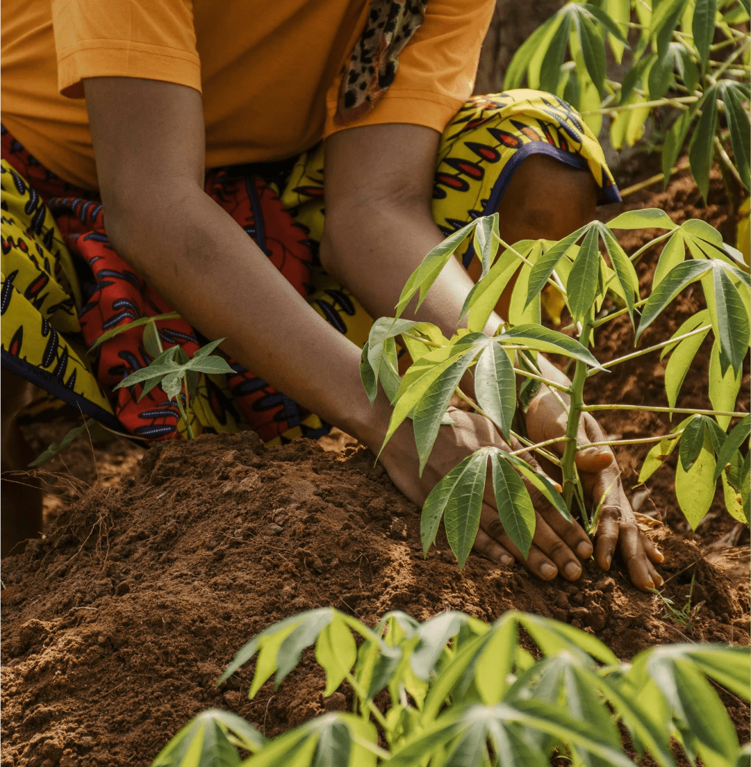 Nigeria Food Security Project