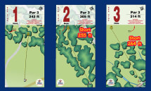 Caddie Guide 1