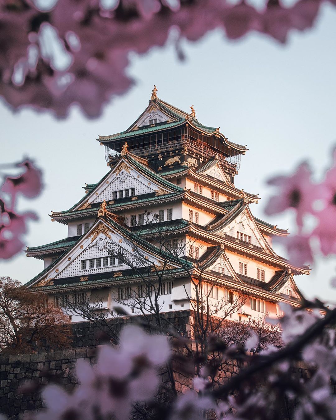 Japón Esencial