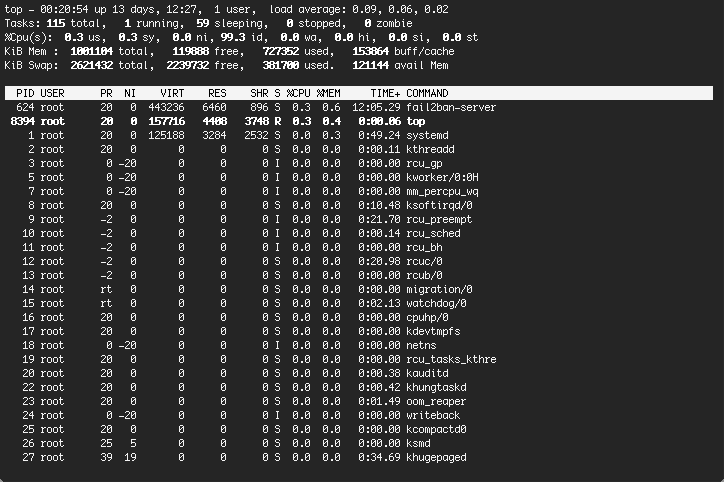 check cpu memory usage linux