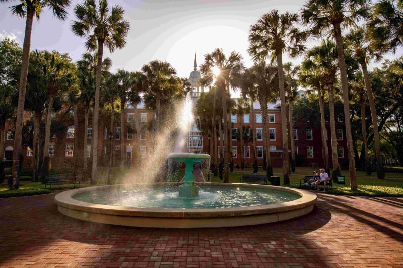 University of Florida