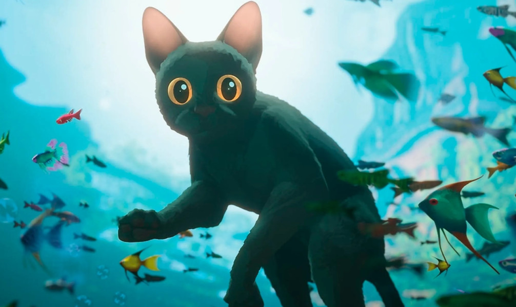 ¡Otro éxito para Flow! El gato gris será incluido en la prestigiosa Criterion Collection