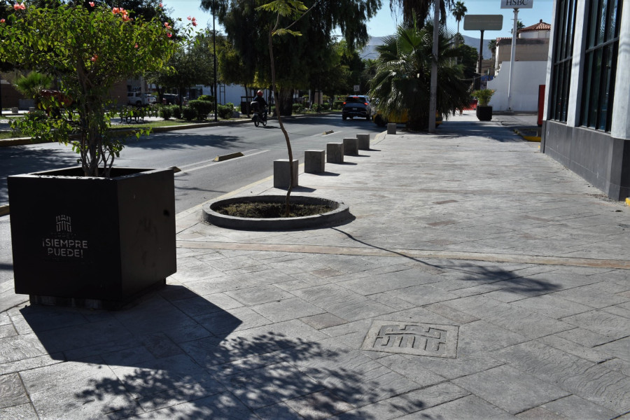Rehabilitación de banquetas y camellón en la zona centro contribuye a una movilidad segura en Torreón