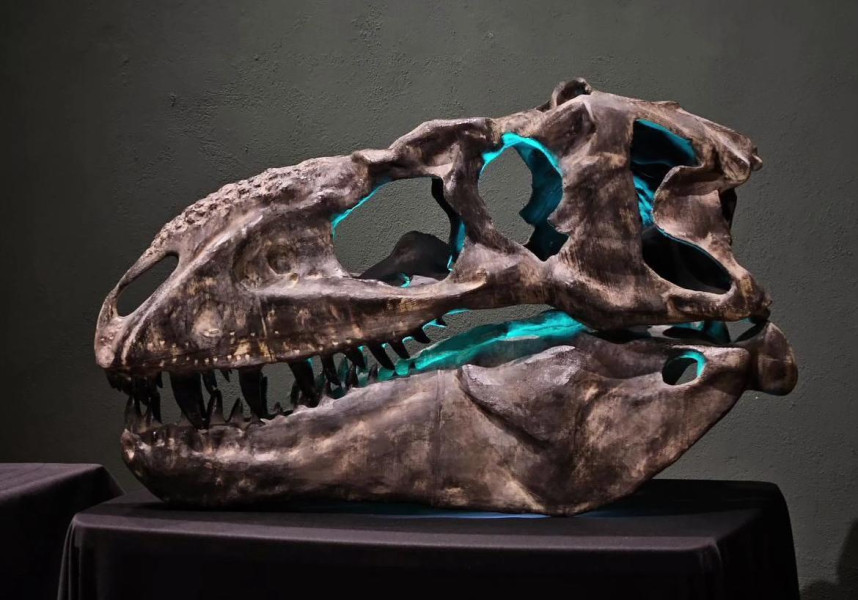 Labocania aguillonae: La nueva especie de tiranosaurio descubierta en Coahuila