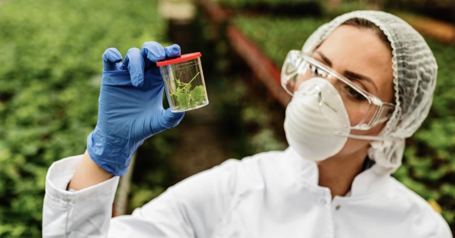 El 25 de enero se celebra el Día del Biólogo ¿Cuál es el rol de estos profesionales en la sociedad?