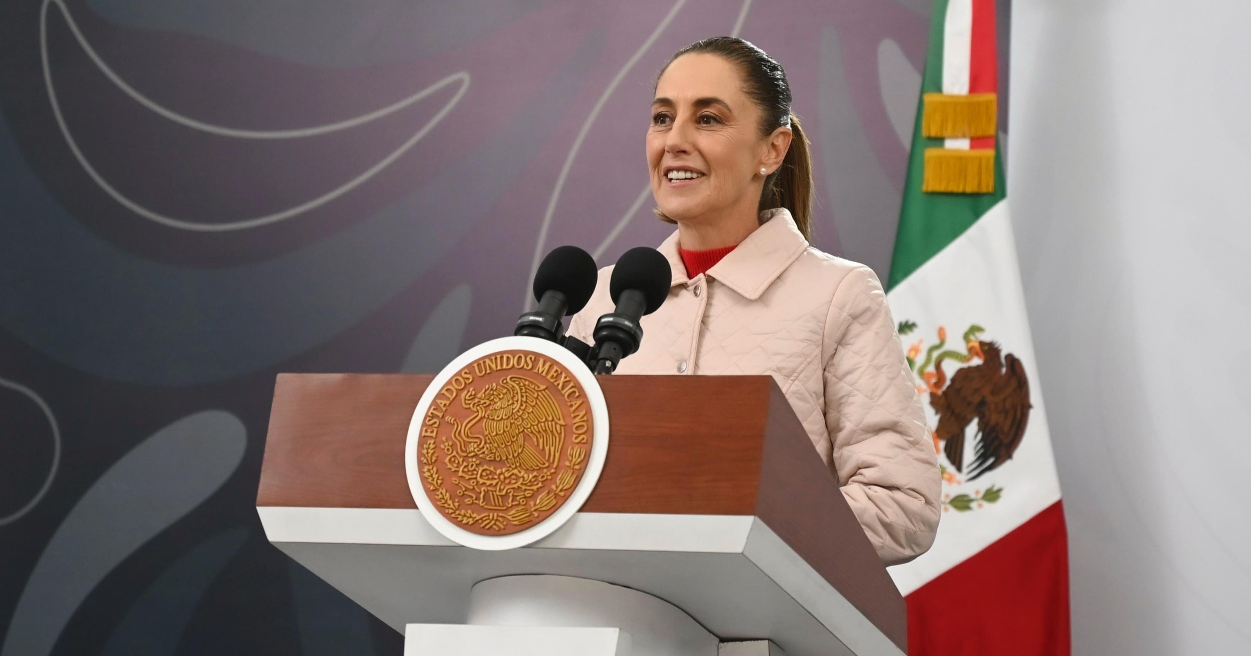  “Ningún partido político, y menos Morena, puede ser un paraguas para delinquir”: presidenta Claudia Sheinbaum