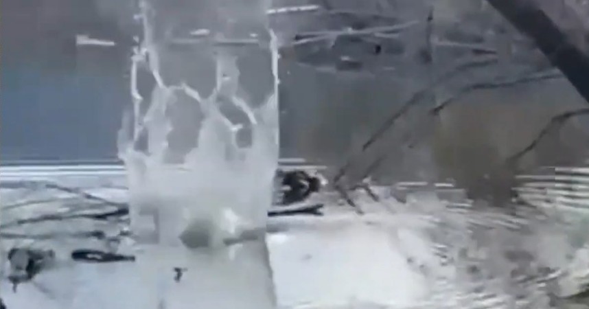 ¡Depredadores al acecho! Detectan cocodrilos en presa Palo Blanco 