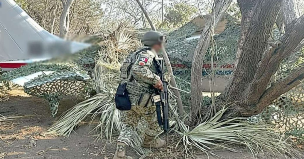 Decomisan más de media tonelada de cocaína en avioneta clandestina