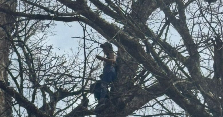 Rescatan a mujer tras subir a un árbol de más de 4 metros de altura