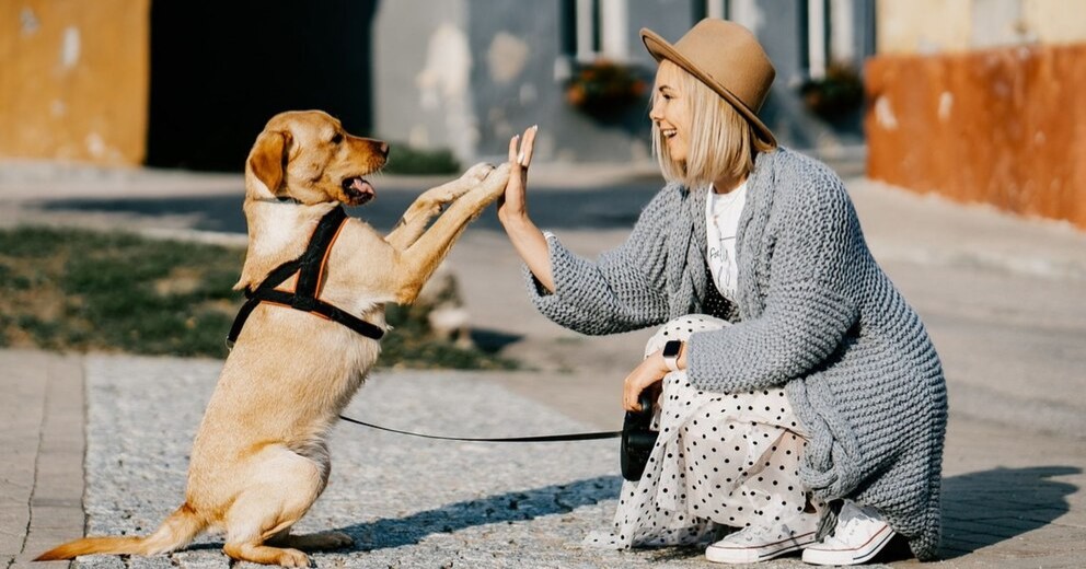 La convivencia con perros podría tener efectos antienvejecimiento y antiestrés, ¡esto dice la ciencia!